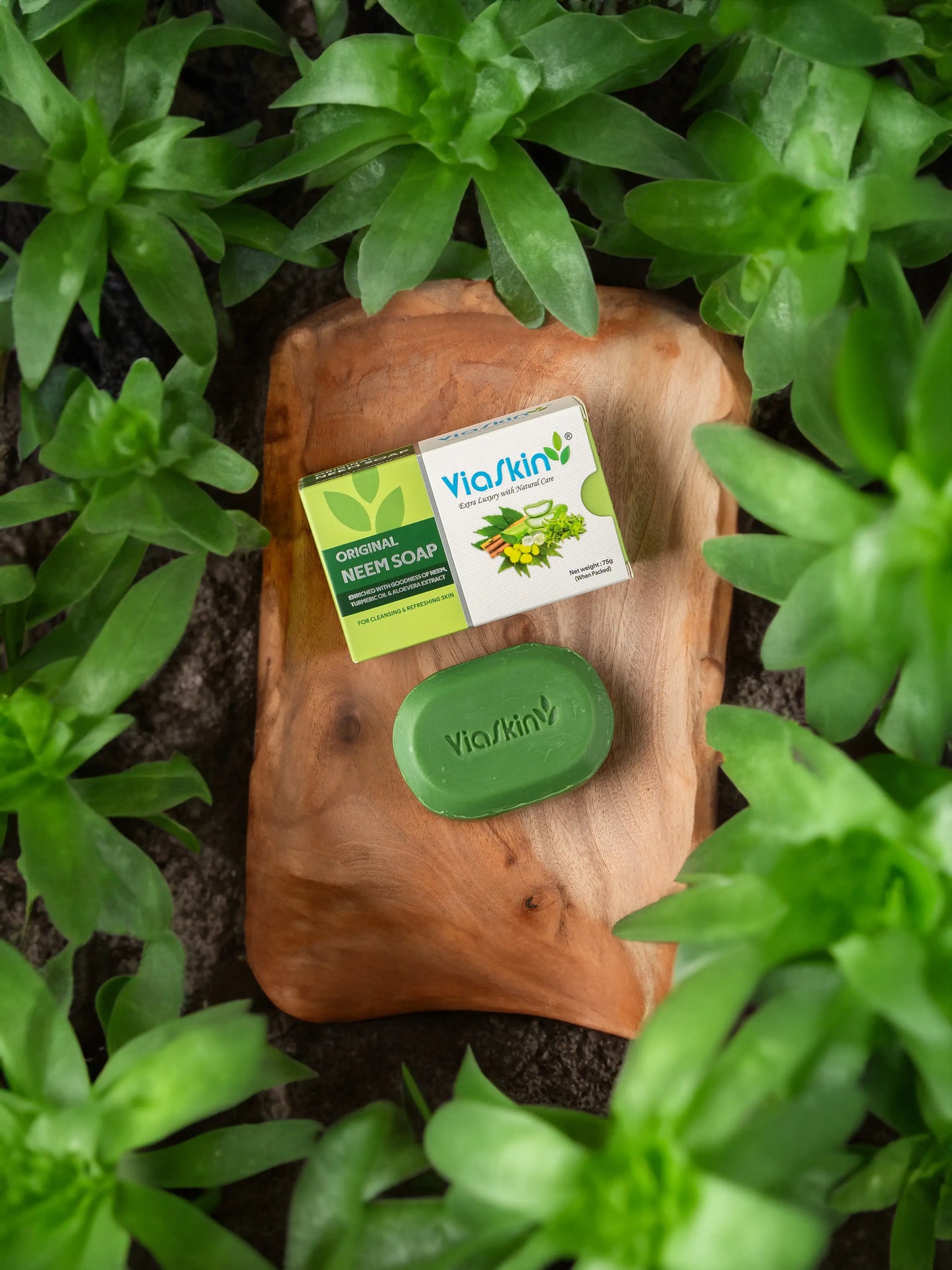 Viaskin Original Neem Soap. ( Pack of 4 ) , 75 g / Soap